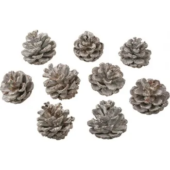 Anděl Přerov s.r.o. Šišky dekorační 9 ks, s bílými glitry