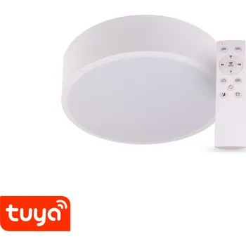 SMART Tuya LED svítidlo RENDO 24W CCT kulaté bílé