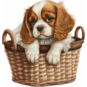 Nášivka Nažehlovačka Kavalír king Charles španěl štěně v košíku - 6 x 6 cm