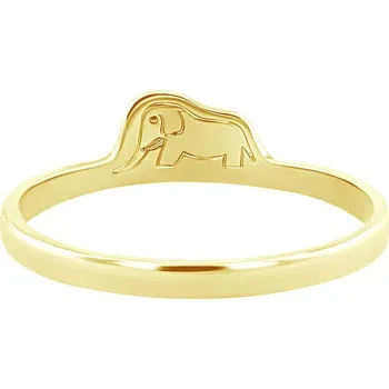 Prsten Prsten s ukrytým slonem Malý princ