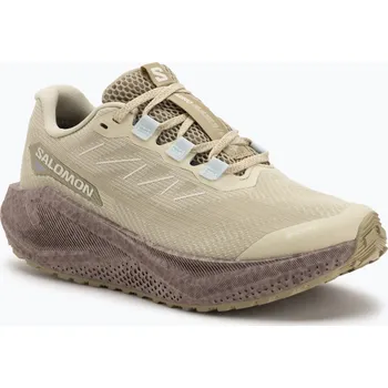 Dámská sportovní obuv Dámské běžecké boty Salomon Aero Blaze 3 Gravel GTX green haze/iron/ice flow