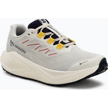 Dámská sportovní obuv Dámské běžecké boty Salomon Aero Blaze 3 Gravel GTX vanilla ice/astral aura/lemon