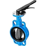 Klapka uzavírací, disk 1.4408, tvárná litina, EPDM: DN 50