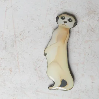 Brož Petra Truszyková Brož - surikata