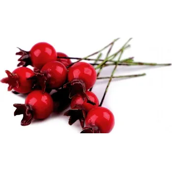 umělá květina Umělý šípek na drátku 7.5 cm, červený