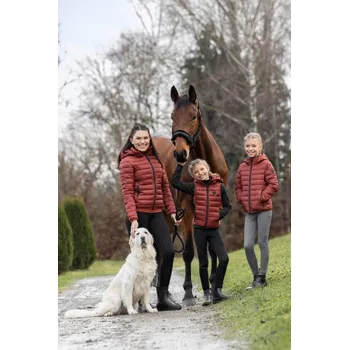 Vybavení pro jezdce Dámská bunda Covalliero Quilted, XL - Šedá