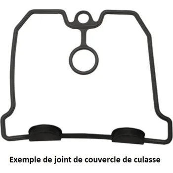 CENTAURO Těsnění víka hlavy P655451