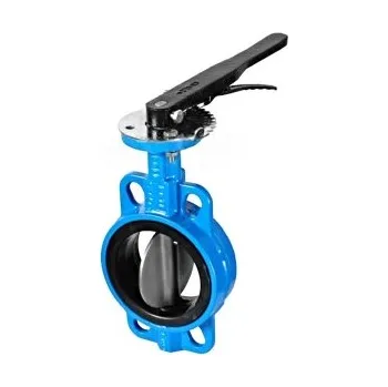 Ventil Klapka uzavírací, disk 1.4408, tvárná litina, EPDM: DN 125