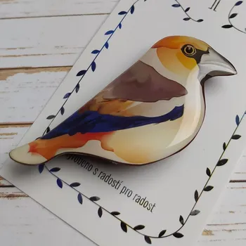 Brož Petra Truszyková Brož - dlask