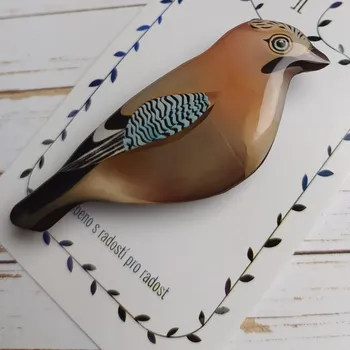 Brož Petra Truszyková Brož - sojka