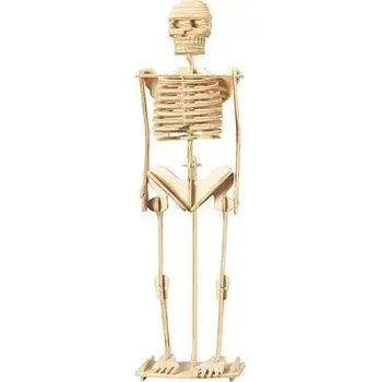 Dřevěná hračka Woodcraft Dřevěné 3D puzzle kostra