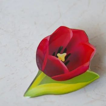 Brož Petra Truszyková Brož - tulipán