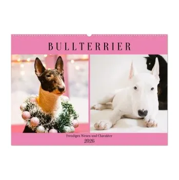 Kalendář Bullterrier. Freudiges Wesen und Charakter (Wandkalender 2026 DIN A2 quer), CALVENDO Monatskalender: Ein eleganter und selbstbewusster Hund, den nichts aus der Ruhe bringt!. DE – Calvendo,Rose Hurley (DE)