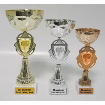 Stolní tenis poháry 523-AFS024