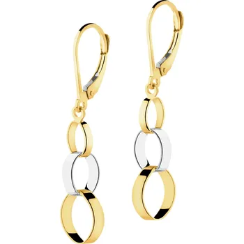 Náušnice Náušnice ze žlutého a bílého zlata - AP542-1196