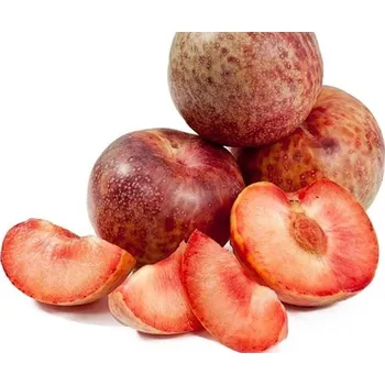 Sazenice Švestkomeruňka 'Dapple Dandy' - kontejner Balení: kontejner p23, Tvar: kmínek, výška 160cm