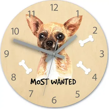 Hodiny Dětské nástěnné hodiny Ami Čivava 30 cm vícebarevné