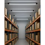 Energeticky úsporné světlo