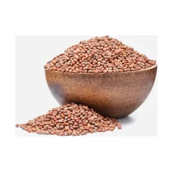 Sušená potravina Ředkev BIO semínka na klíčení 250 g