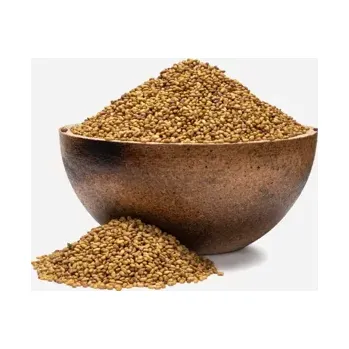 Alfalfa BIO semínka na klíčení 250 g