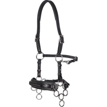 F.R.A. Uzdečka s hackamore Aram F.R.A., černá