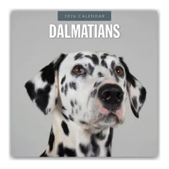 Diář Dalmatians - Dalmatiner 2026 - 16-Monatskalender (Kalendář)
