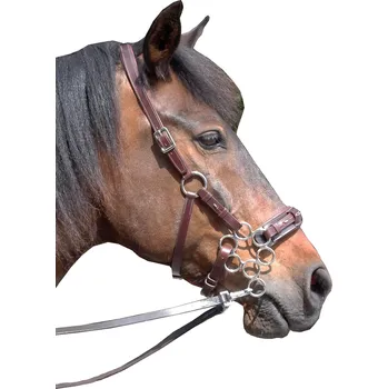 F.R.A. Uzdečka s hackamore Aram F.R.A., mocca