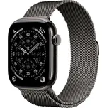 Apple Watch S11 Cell/46/Elegant Band/Slate