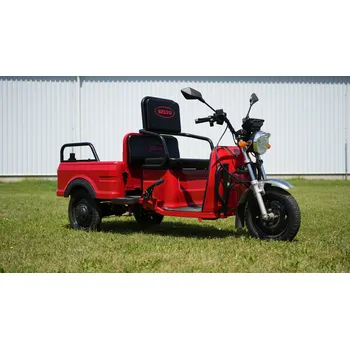 Elektrický invalidní skútr Elektrická tříkolka Selvo WORK 10 SW0001