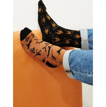 Pánské ponožky Bavlněné ponožky Medicine 2-pack RS25.LGM108 vícebarevná MLA, vel. 43/46