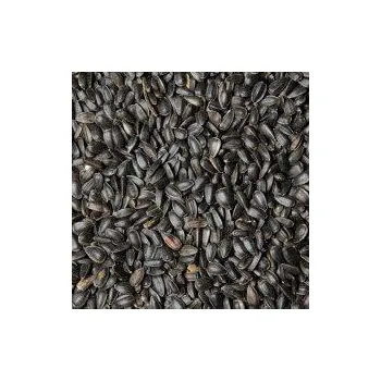Pro ptáka Slunečnice černá Hmotnost: 1 kg