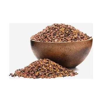 Brokolice, ředkev, jetel BIO mix semínek na klíčení 250 g