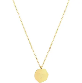 Náhrdelník Ocelový náhrdelník placka 42041.1