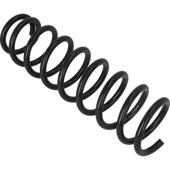 Pružina podvozku, 2120529