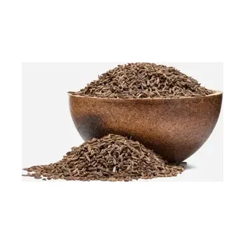 Koření Kmín celý BIO 100 g