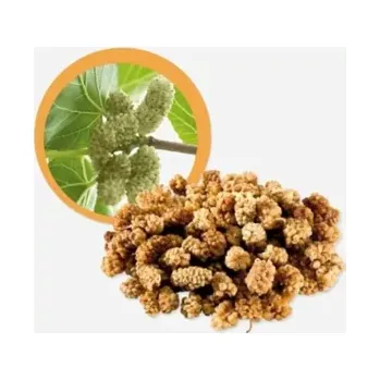 Sušené ovoce Moruše bílá sušená BIO 500 g