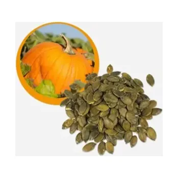 Dýňové semínko BIO 1000 g