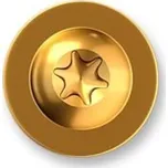 Vruty konstrukční 6x160 talířová hlava TX30 zinek