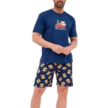 Pánské pyžamo Pánské pyžamo Cornette 326/291 TEDDY vánoční modrá S