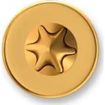 Vruty univerzální 4x30 ZHH TX20 zinek závit celý