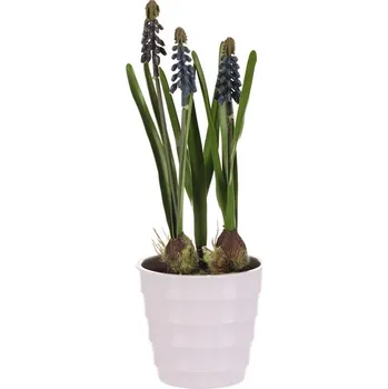 Autronic Modřenec v bílém obalu - umělý, barva přírodní, sada 4 ks