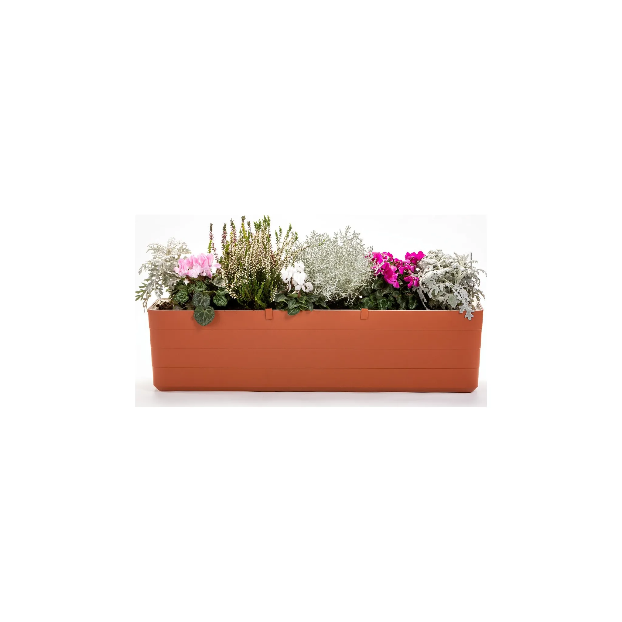 Fotografie 3 - Truhlík Plastia Berberis 80 cm terakota/slonová kost