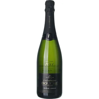 Víno Archivní víno&nbsp;2011&nbsp;Champagne Bouché Champagne&nbsp;0,75 l