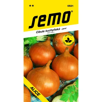 Zahrada Semo Cibule kuchyňská - Alice (jarní)
