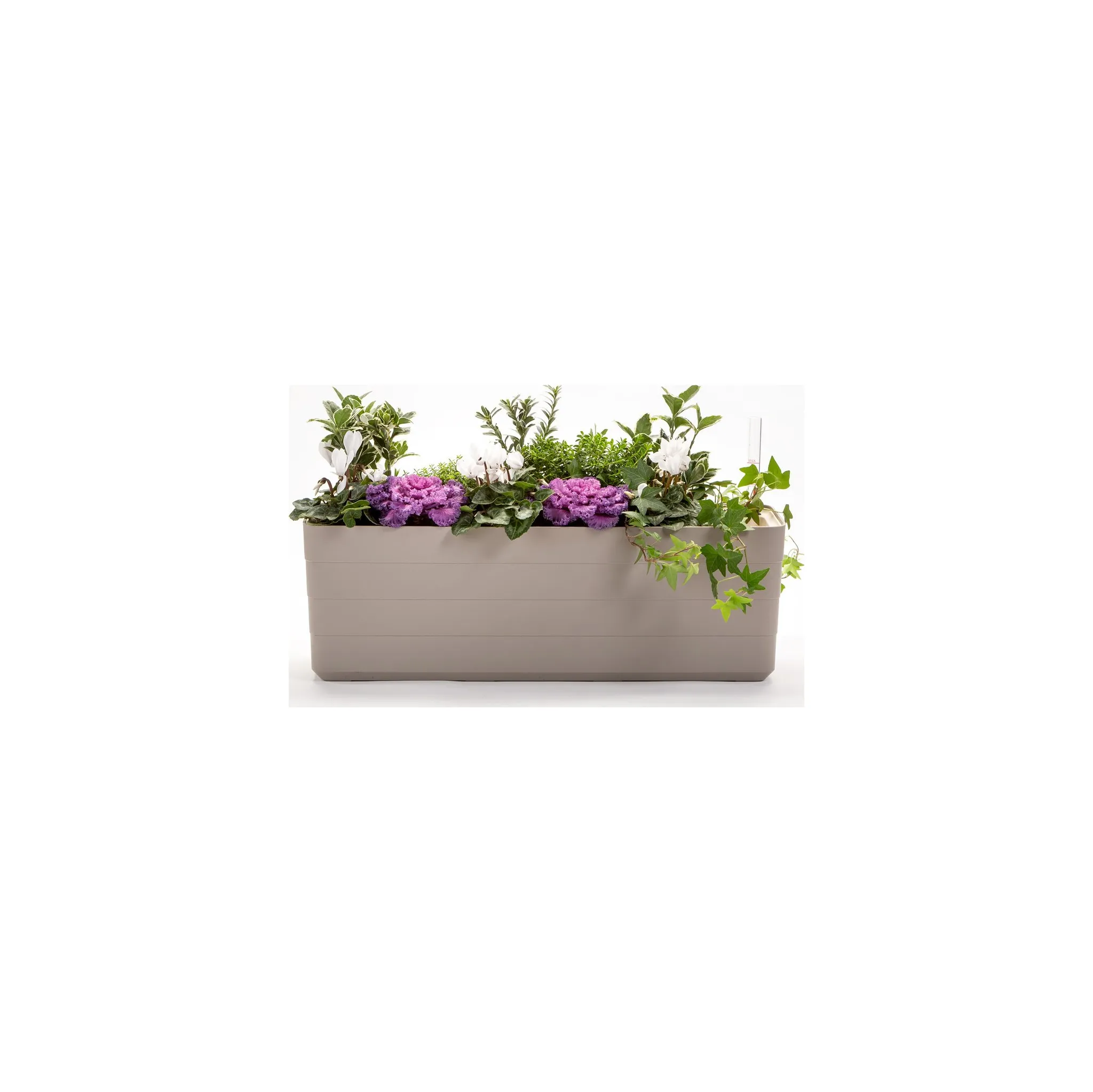 Fotografie 3 - Truhlík Plastia Berberis 80 cm taupe/slonová kost