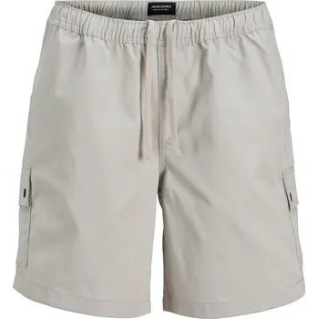 Pánská móda Kraťasy Jack and Jones Glacier Gray 1096711 L