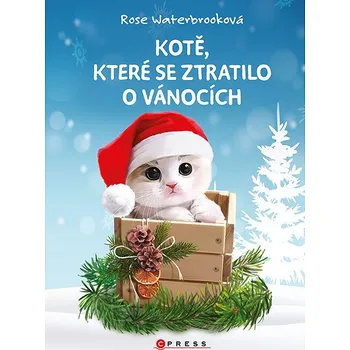 Kniha Kotě, které se ztratilo o Vánocích Ekniha