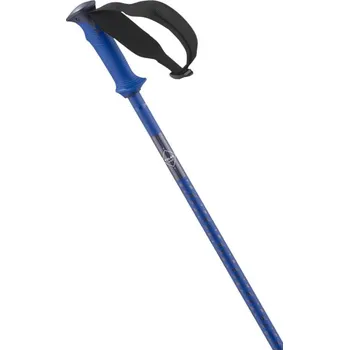 Sjezdová hůlka Salomon POLAR PRO Race Blue 125