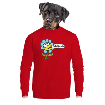 Pánská mikina Bastard Chci už jen tebe unisex mikina bez kapuce Red