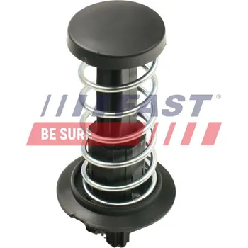 Motorový prostor Pneumatická pružina, kapota motoru FAST FT00220